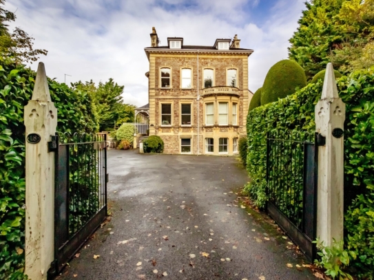 The Avenue | Sneyd Park