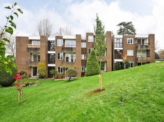 Knoll Hill | Sneyd Park